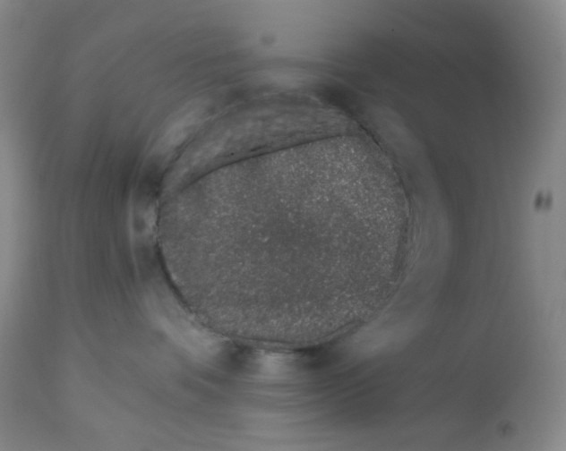 X0000112720336200909171110