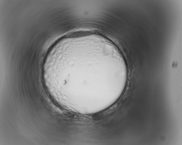 X0000112720337200909171109