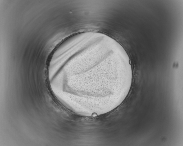 X0000112720338200909171109