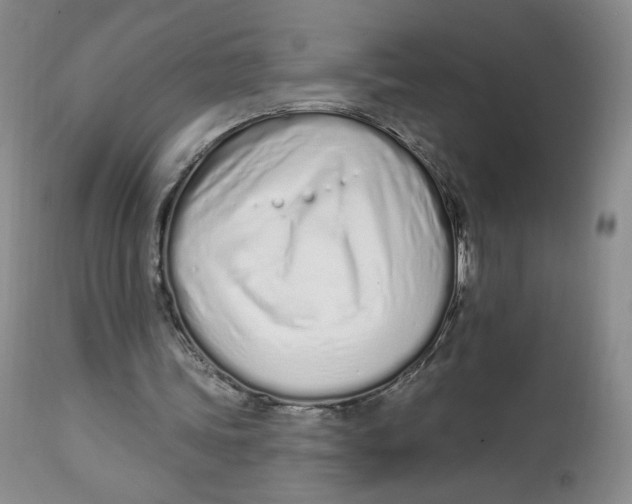 X0000112720339200909171109