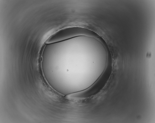 X0000112720340200909171109