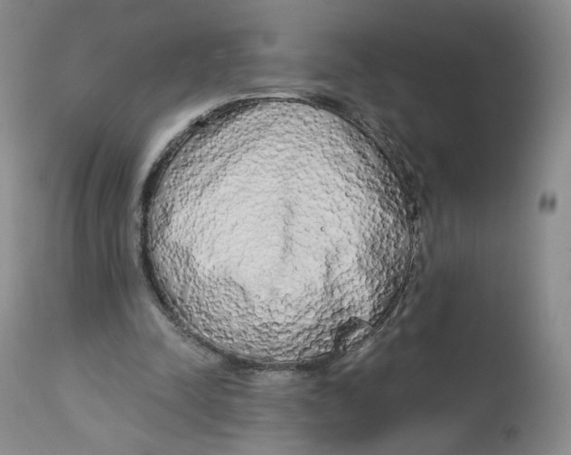 X0000112720342200909171109