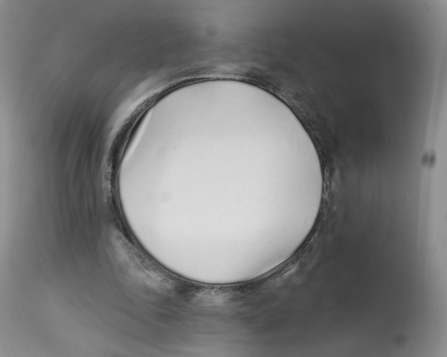 X0000112720343200909171109