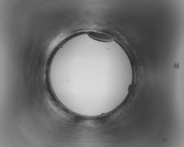 X0000112720344200909171109