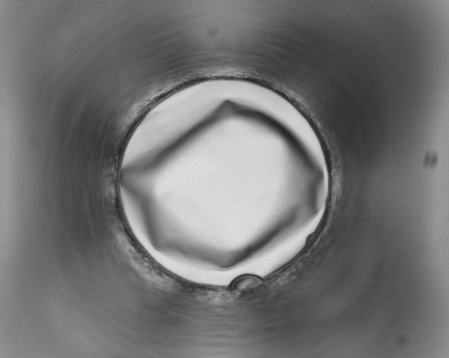 X0000112720345200909171109