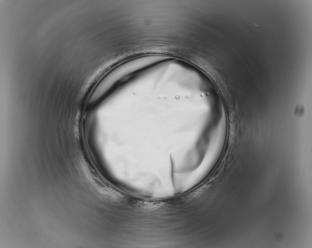 X0000112720346200909171109