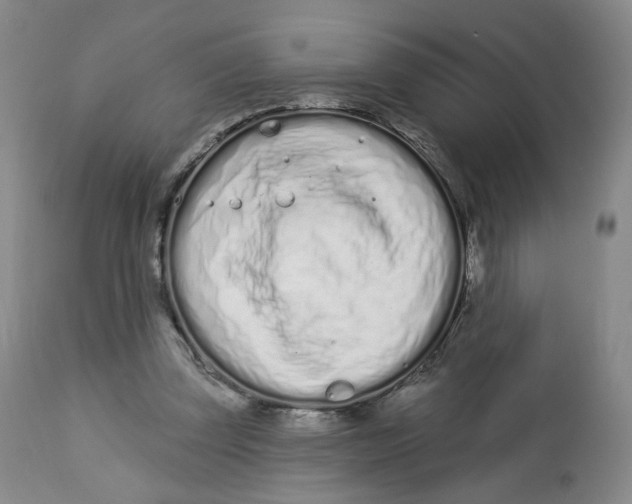 X0000112720347200909171109