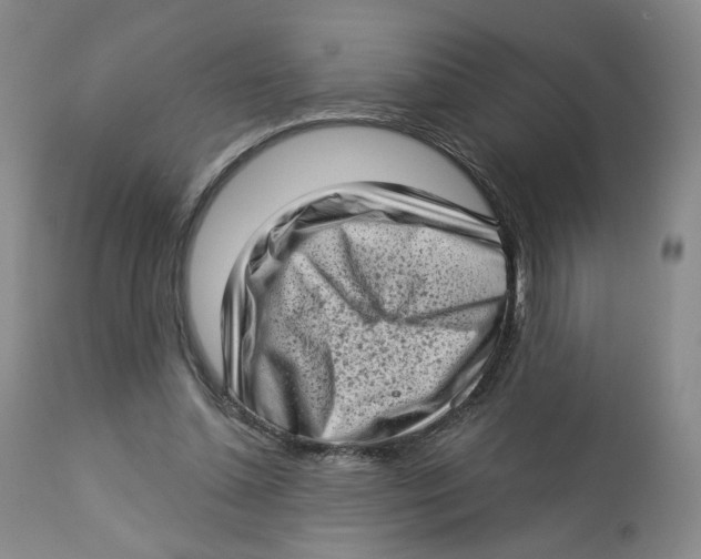 X0000112720348200909171109