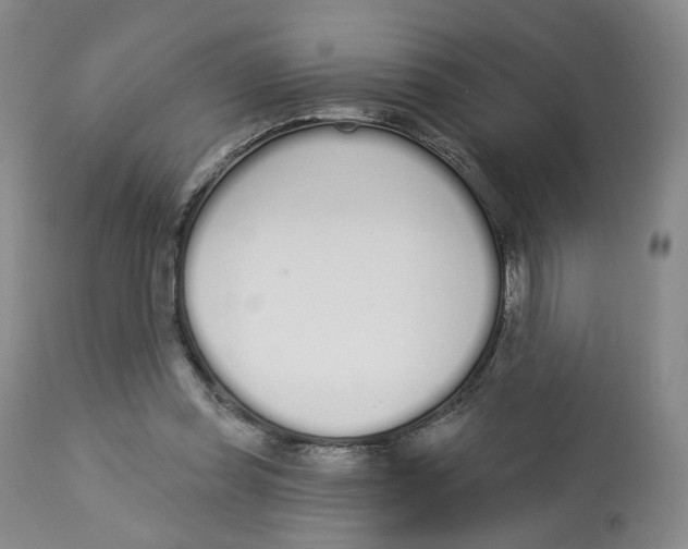 X0000112720349200909171109