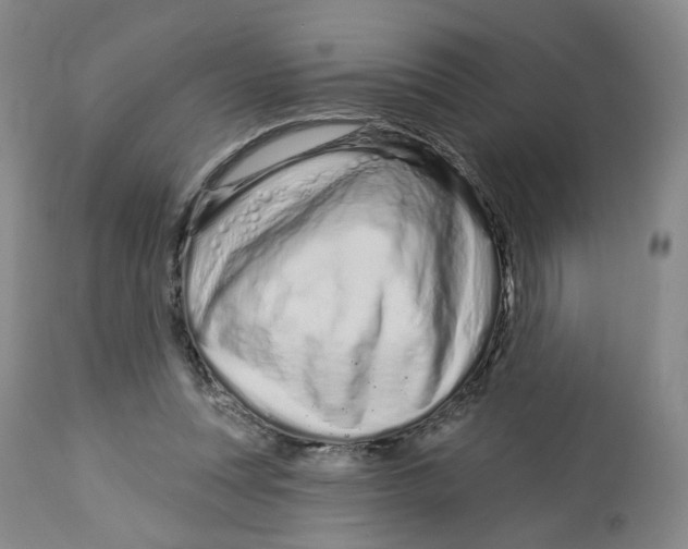 X0000112720351200909171109