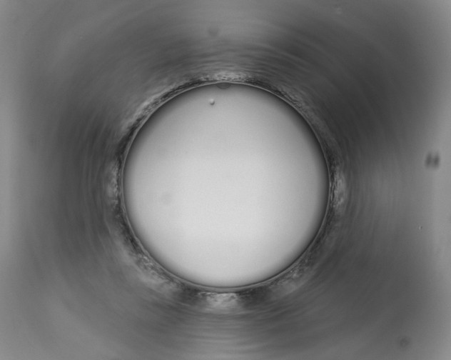 X0000112720355200909171110