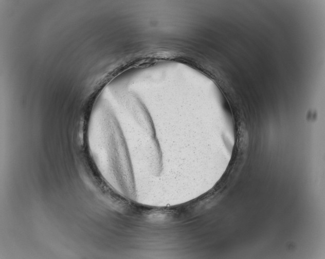 X0000112720358200909171110