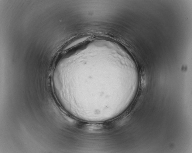 X0000112720359200909171110