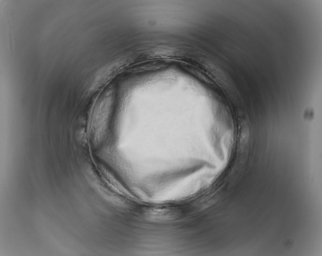 X0000112720361200909171110