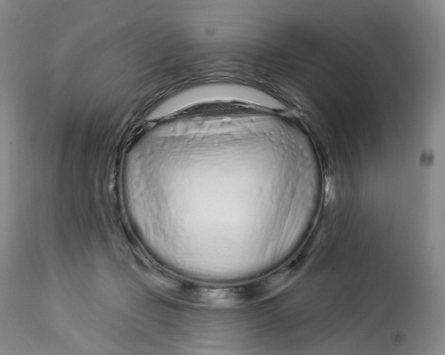 X0000112720365200909171110