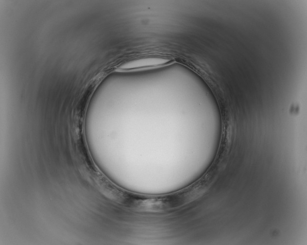 X0000112720366200909171110