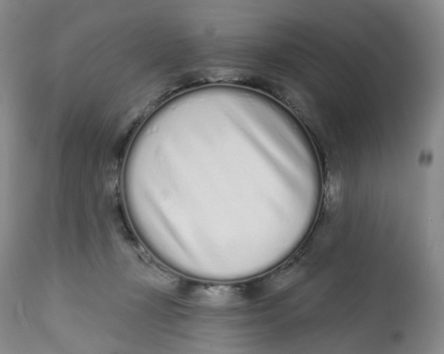 X0000112720367200909171110