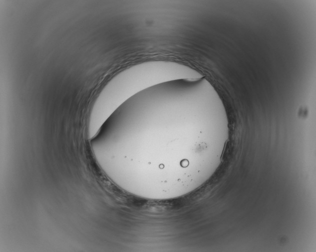 X0000112720368200909171110