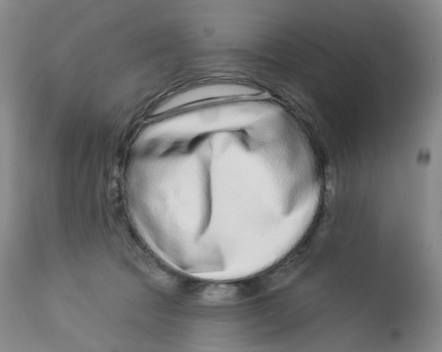 X0000112720369200909171110