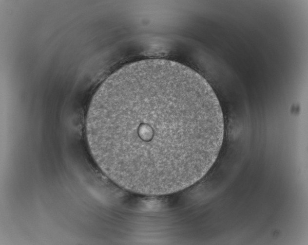 X0000112720370200909171110