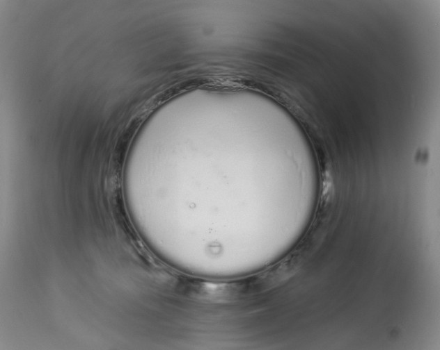 X0000112720371200909171110