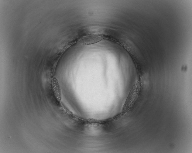 X0000112720372200909171110