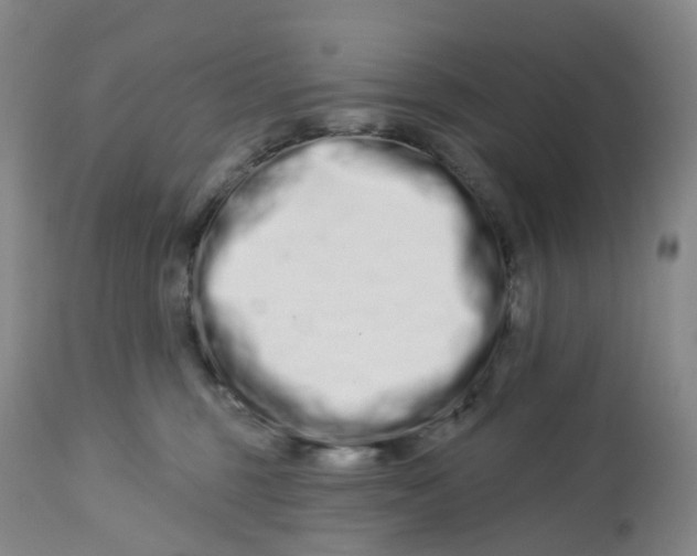 X0000112720375200909171110