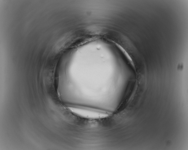 X0000112720376200909171110