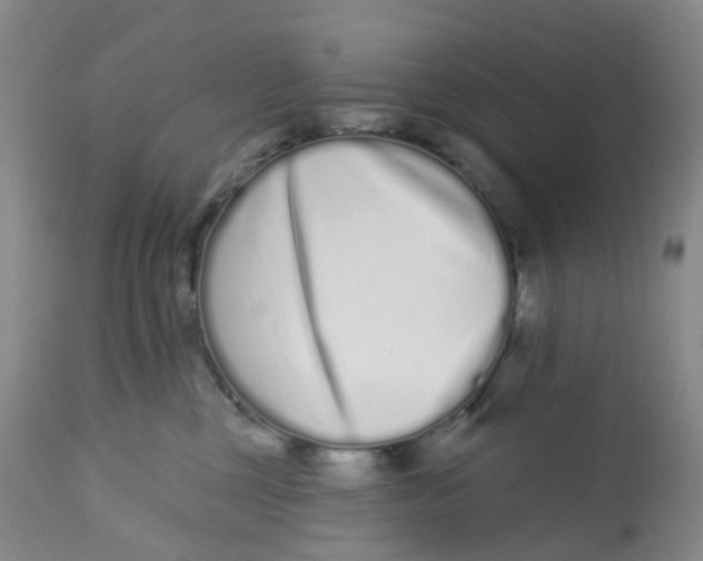 X0000112720377200909171110