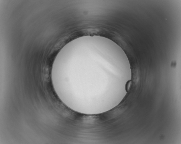 X0000112720378200909171110