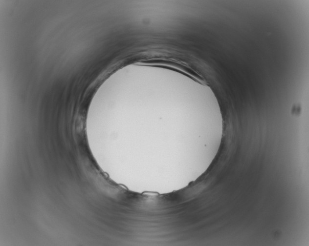 X0000112720382200909171110