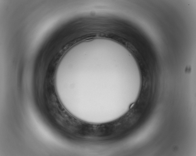 X0000112720383200909171110