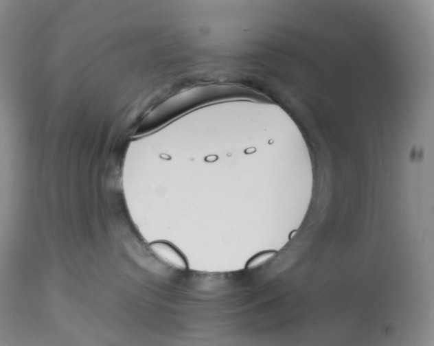 X0000112720384200909171110