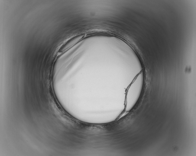 X0000112720386200909171109