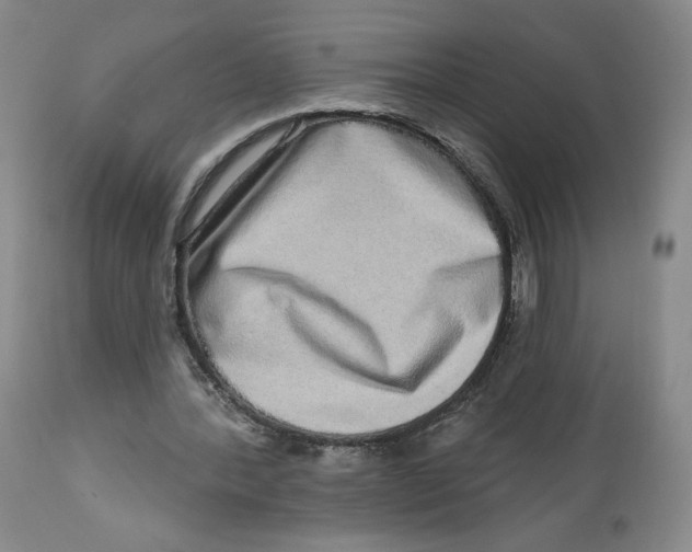 X0000112720388200909171109