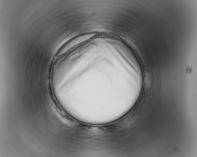 X0000112720390200909171109