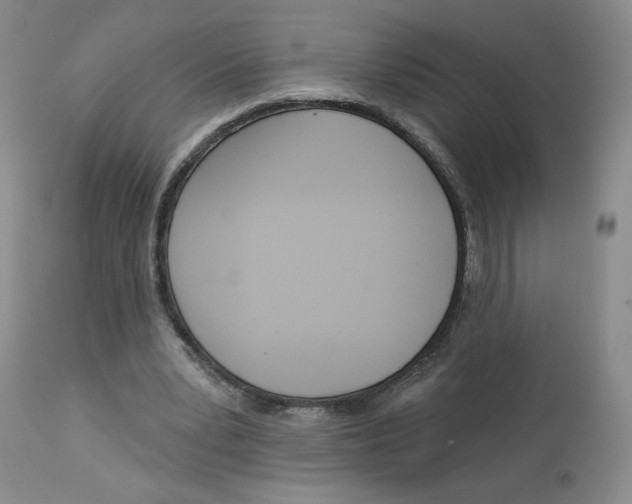 X0000112720391200909171109