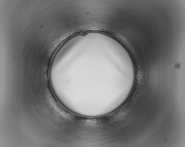 X0000112720394200909171109