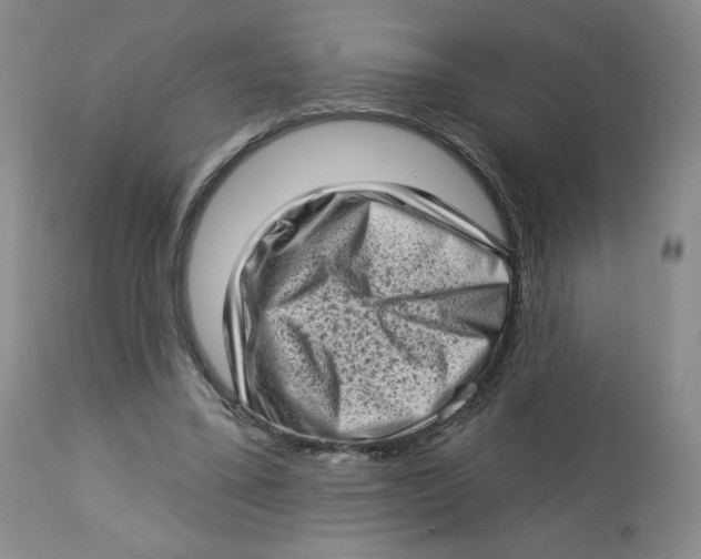 X0000112720395200909171109