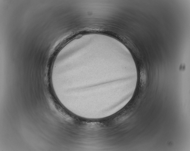 X0000112720396200909171109