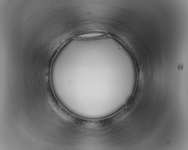 X0000112720402200909171109