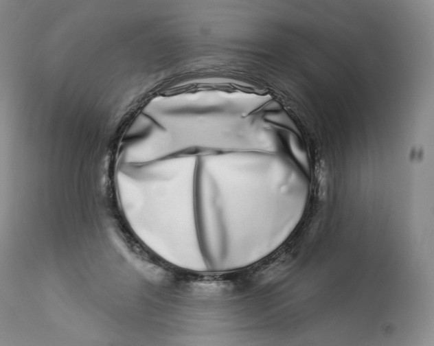 X0000112720404200909171109