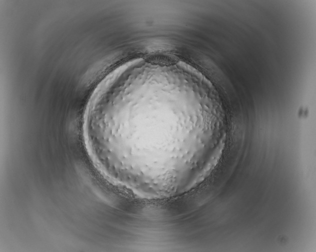 X0000112720405200909171109