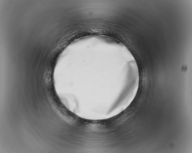 X0000112720408200909171109