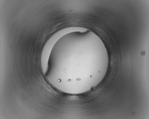 X0000112720409200909171109