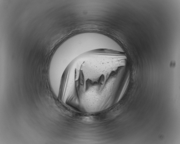 X0000112720411200909171109