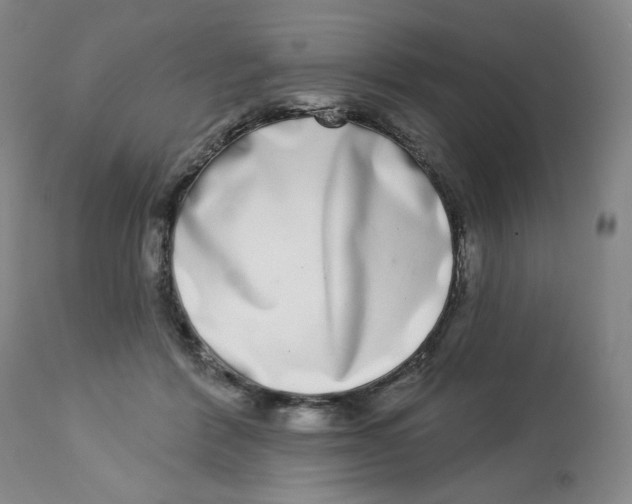 X0000112720412200909171109