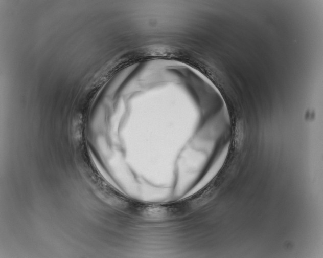 X0000112720413200909171109