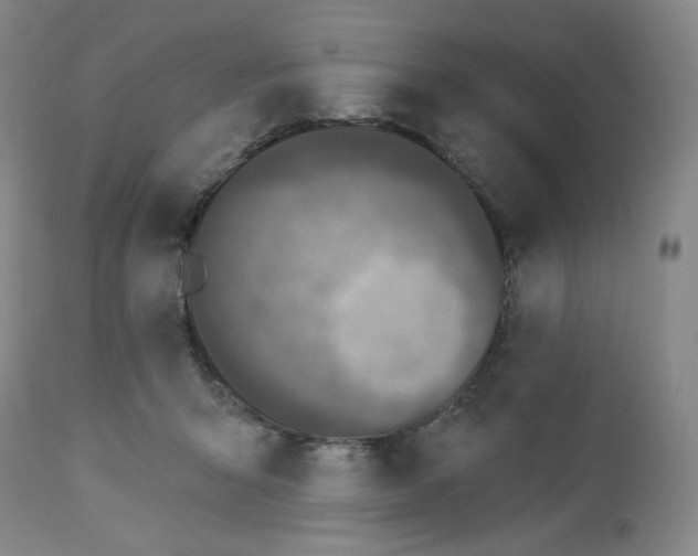 X0000112720415200909171109