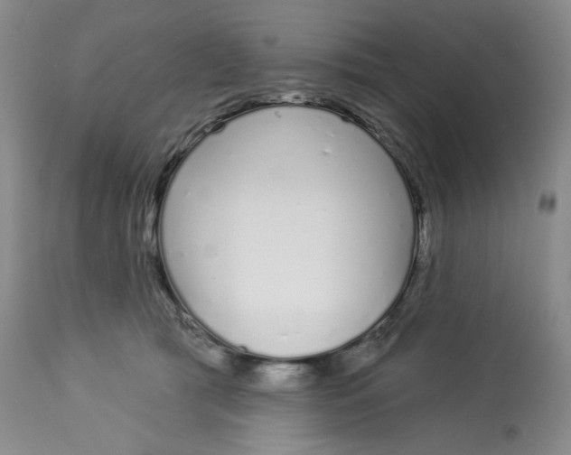 X0000112720417200909171109